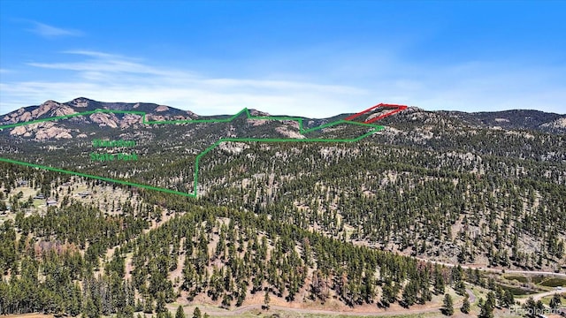 000 Pike View Dr, Conifer, CO 80433