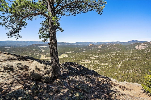 000 Pike View Dr, Conifer, CO 80433