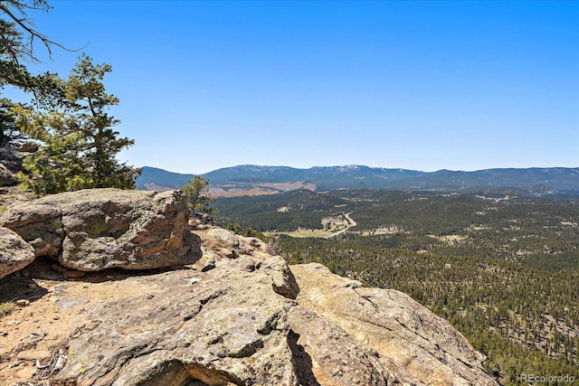 000 Pike View Dr, Conifer, CO 80433