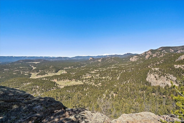 000 Pike View Dr, Conifer, CO 80433