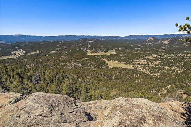 000 Pike View Dr, Conifer, CO 80433