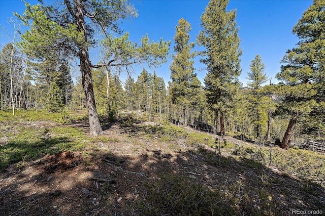 000 Pike View Dr, Conifer, CO 80433