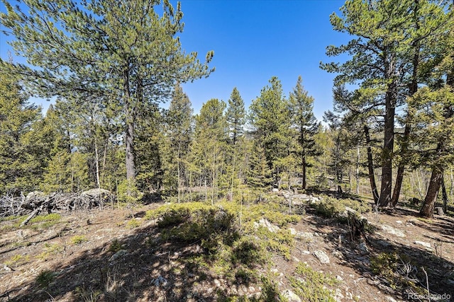000 Pike View Dr, Conifer, CO 80433
