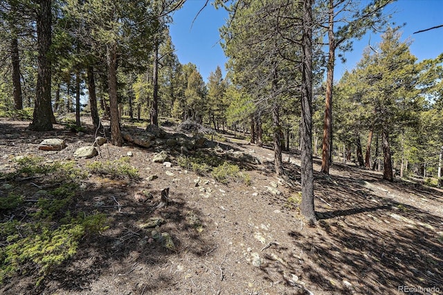 000 Pike View Dr, Conifer, CO 80433