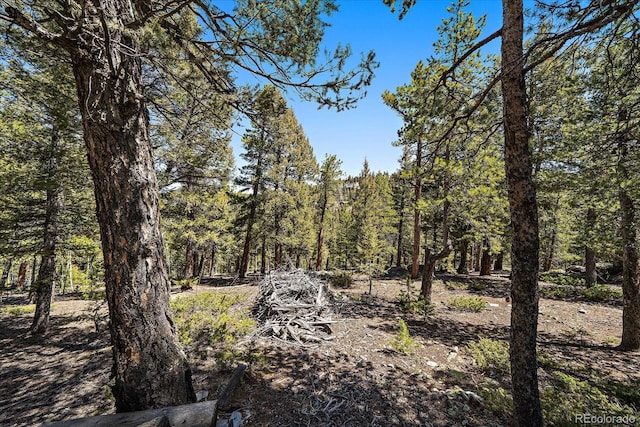 000 Pike View Dr, Conifer, CO 80433