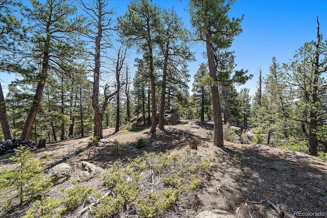 000 Pike View Dr, Conifer, CO 80433