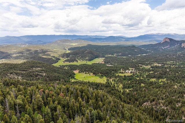 000 Pike View Dr, Conifer, CO 80433