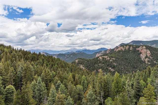 000 Pike View Dr, Conifer, CO 80433