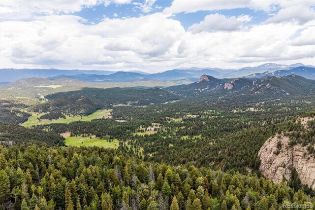 000 Pike View Dr, Conifer, CO 80433