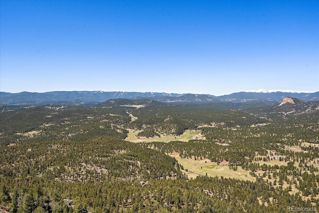 000 Pike View Dr, Conifer, CO 80433