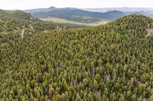 000 Pike View Dr, Conifer, CO 80433