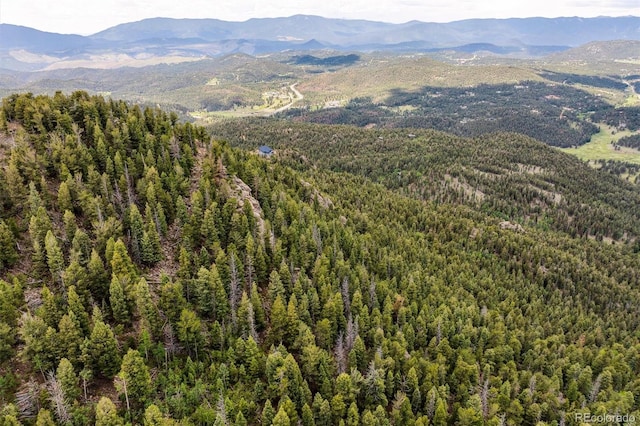000 Pike View Dr, Conifer, CO 80433