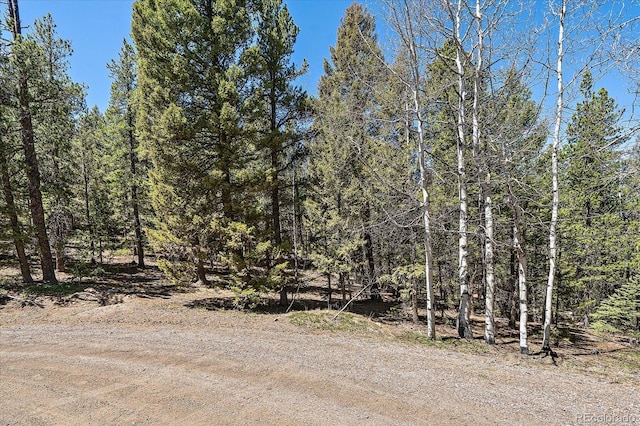 000 Pike View Dr, Conifer, CO 80433