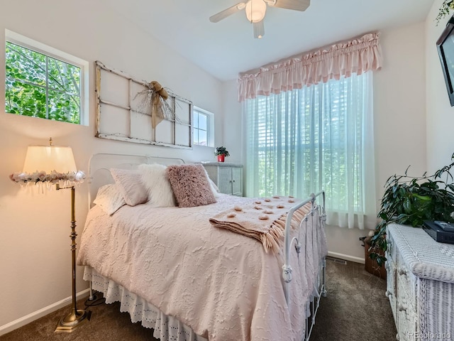 16658 Prospect Ln, Broomfield, CO 80023 - bedroom with carpet floors and a ceiling fan