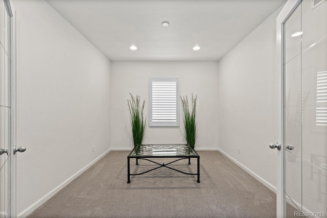 4391 Mcmurdo Ct, Castle Rock, CO 80108 - office space featuring carpet and recessed lighting