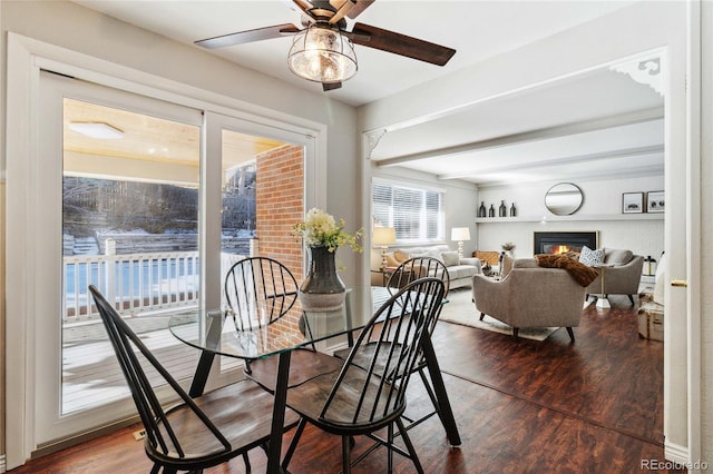 dining space with ceiling fan and hardwood / wood-style flooring