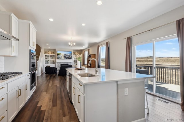 kitchen with appliances with stainless steel finishes, plenty of natural light, a sink, and visible vents