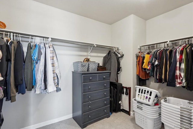 spacious closet featuring carpet floors