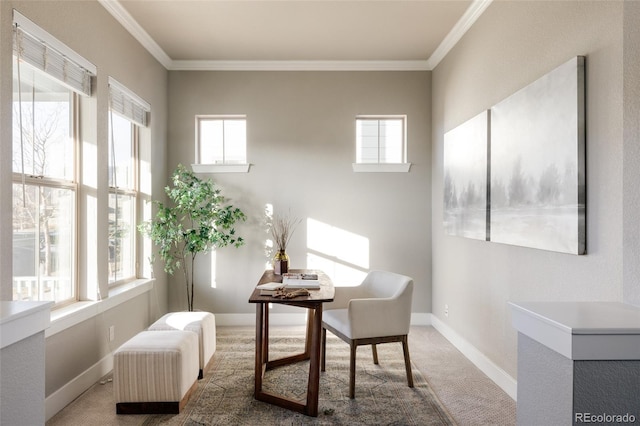 sitting room with carpet floors and ornamental molding