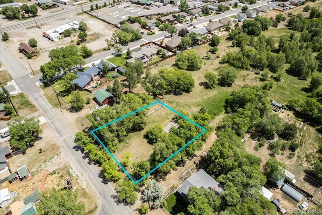 000 Tomichi Ave, Poncha Springs, CO 81242 - photo 1