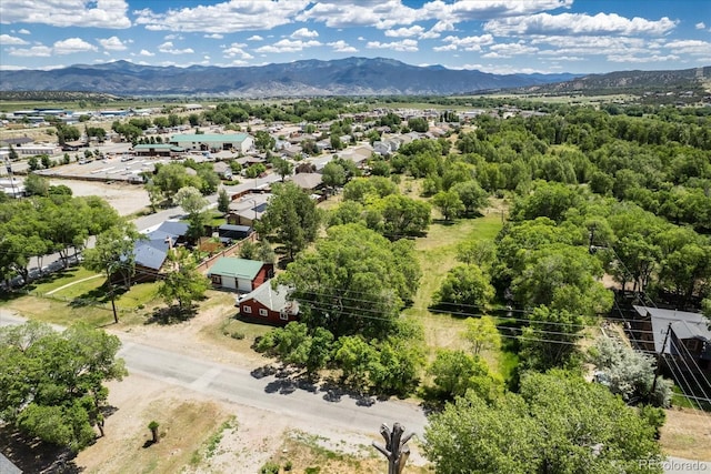 000 Tomichi Ave, Poncha Springs, CO 81242 - photo 3