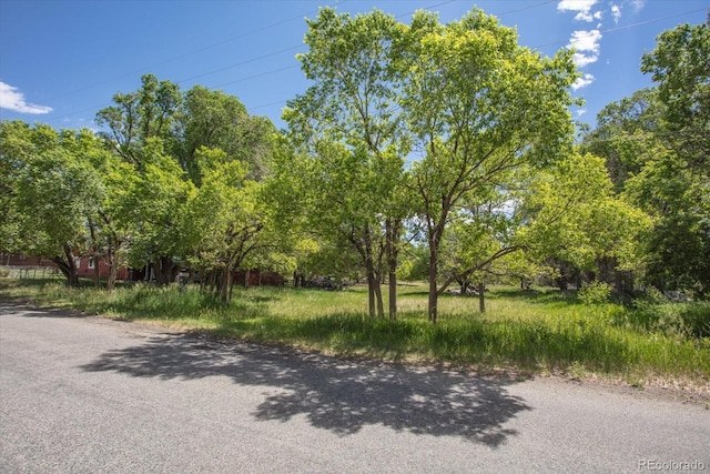 000 Tomichi Ave, Poncha Springs, CO 81242 - photo 4
