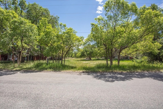 000 Tomichi Ave, Poncha Springs, CO 81242 - photo 5