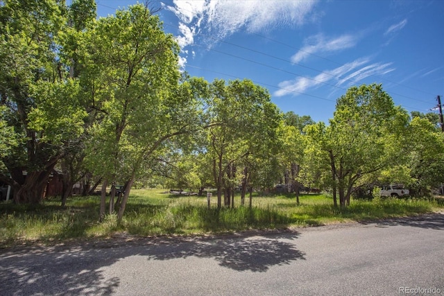 000 Tomichi Ave, Poncha Springs, CO 81242 - photo 6