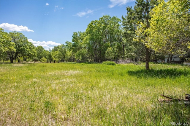 000 Tomichi Ave, Poncha Springs, CO 81242 - photo 7