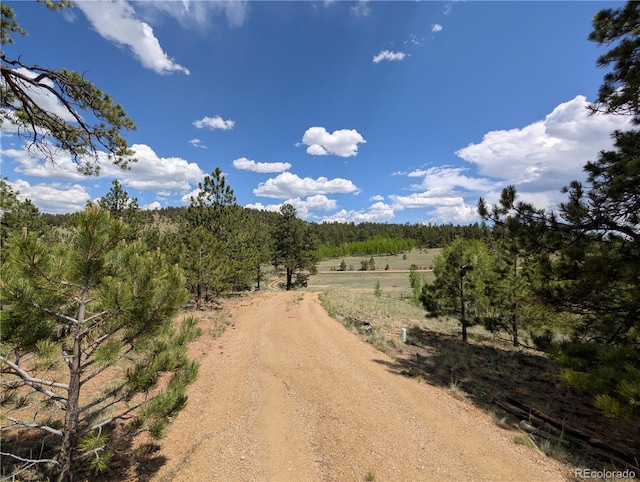 2117 Badger Creek Rd, Hartsel, CO 80449 - view of road with a rural view