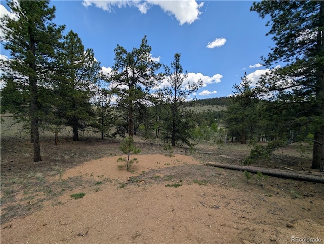 2117 Badger Creek Rd, Hartsel, CO 80449 - view of nature