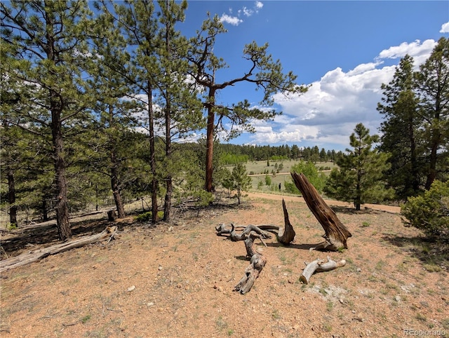 2117 Badger Creek Rd, Hartsel, CO 80449 - view of yard
