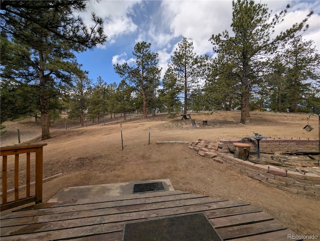2117 Badger Creek Rd, Hartsel, CO 80449 - view of yard