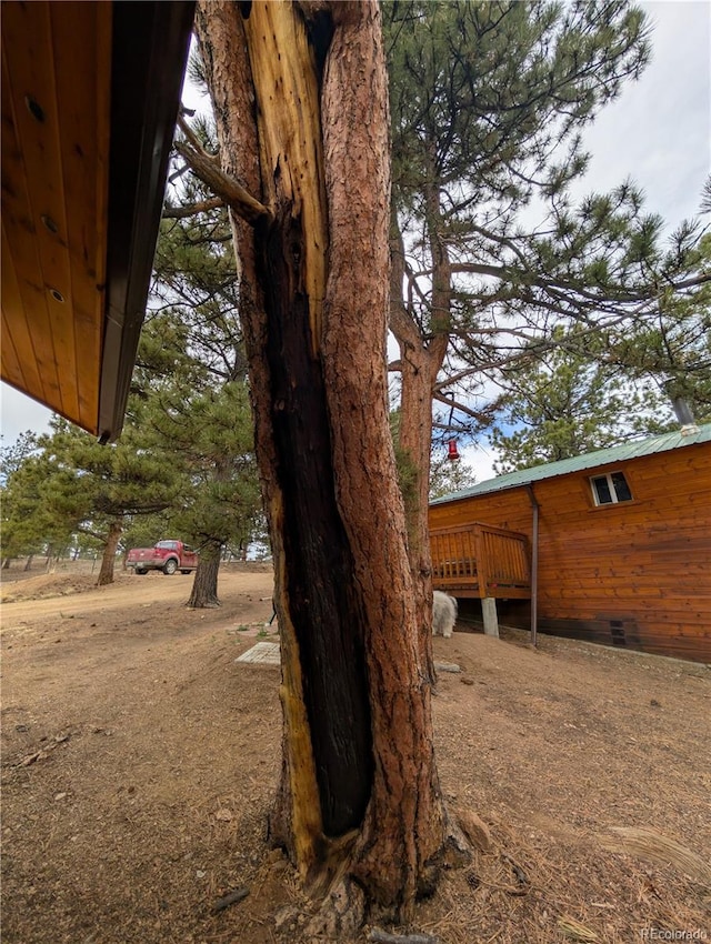 2117 Badger Creek Rd, Hartsel, CO 80449 - view of yard