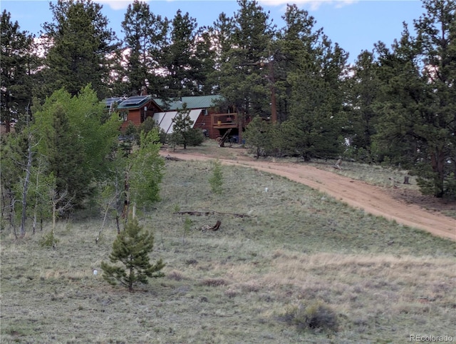 2117 Badger Creek Rd, Hartsel, CO 80449 - view of yard