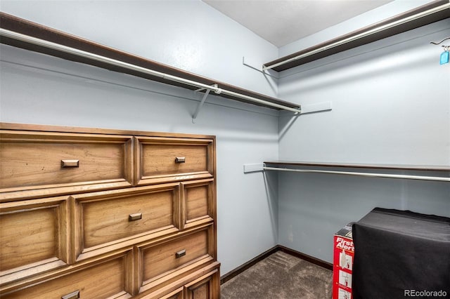 walk in closet with dark colored carpet