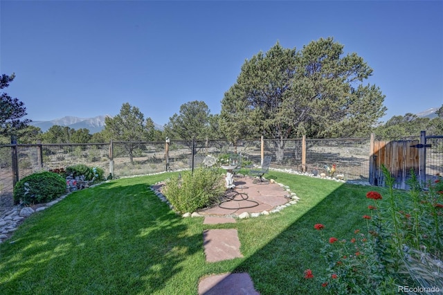 29330 County Road 358a, Buena Vista, CO 81211 - photo 6