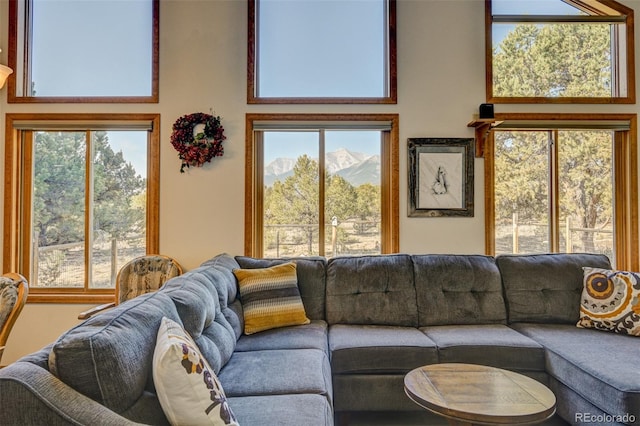 29330 County Road 358a, Buena Vista, CO 81211 - photo 22