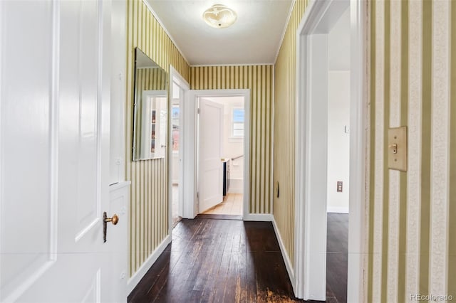 532 Front St, Fairplay, CO 80440 - hall with wallpapered walls, dark wood-style flooring, baseboards, and crown molding
