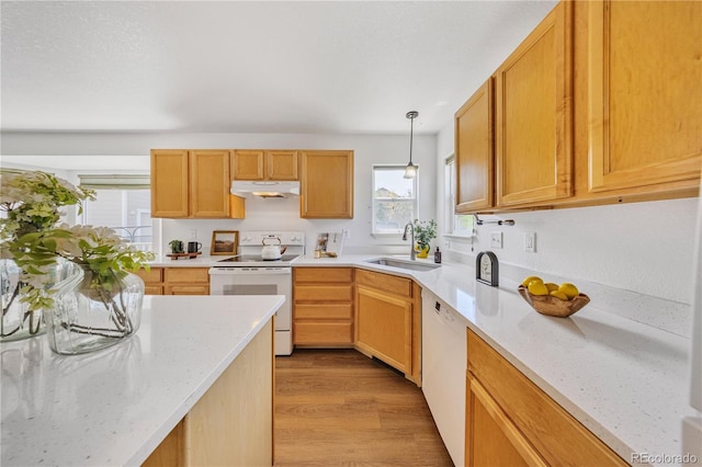 1697 Buckskin Ave, Brighton, CO 80603 - photo 10