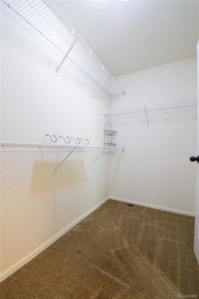 1057 Mt Oxford Ave, Severance, CO 80550 - walk in closet with carpet