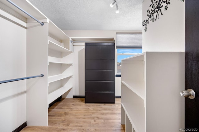 walk in closet with light wood finished floors