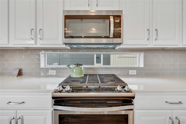 17276 E 103rd Ave, Commerce City, CO 80022 - photo 17