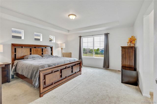 17276 E 103rd Ave, Commerce City, CO 80022 - photo 22