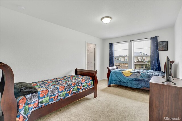 17276 E 103rd Ave, Commerce City, CO 80022 - photo 25