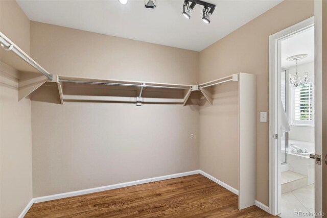 14432 Tierra Dr, Colorado Springs, CO 80921 - photo 22