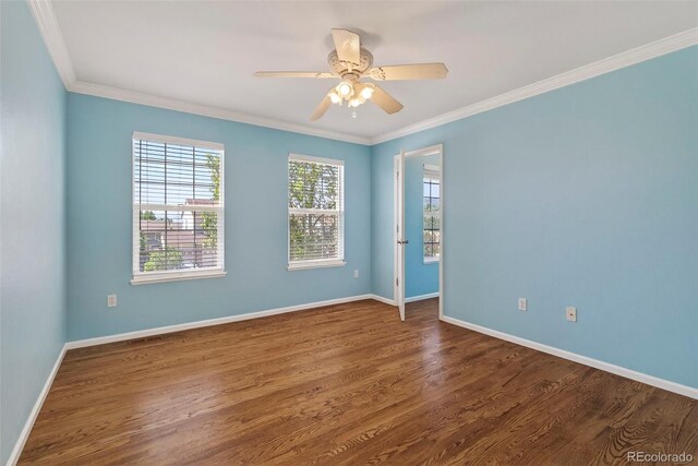 14432 Tierra Dr, Colorado Springs, CO 80921 - photo 23