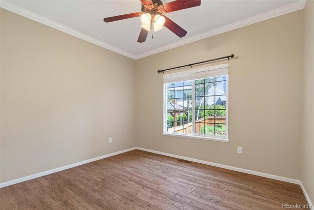 14432 Tierra Dr, Colorado Springs, CO 80921 - photo 25