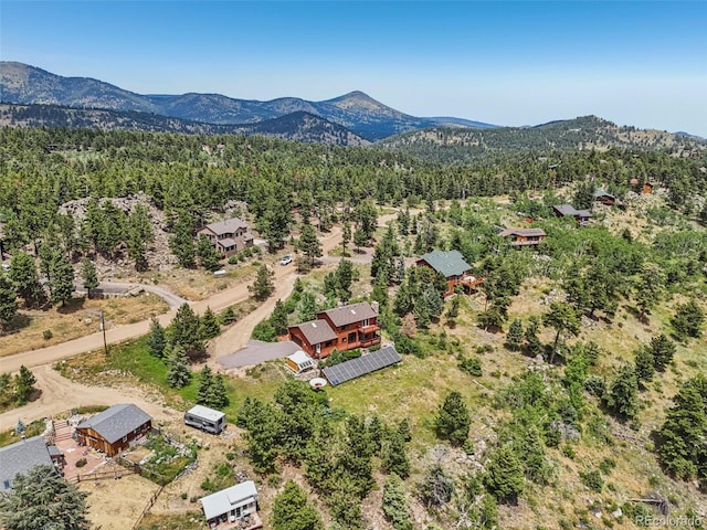3592 Ridge Rd, Nederland, CO 80466 - photo 3