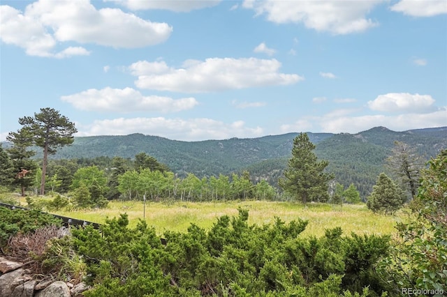 3592 Ridge Rd, Nederland, CO 80466 - photo 43